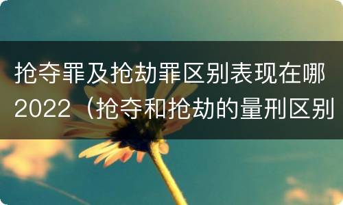 抢夺罪及抢劫罪区别表现在哪2022（抢夺和抢劫的量刑区别）