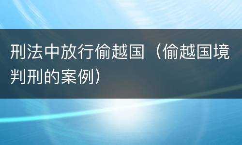 刑法中放行偷越国（偷越国境判刑的案例）