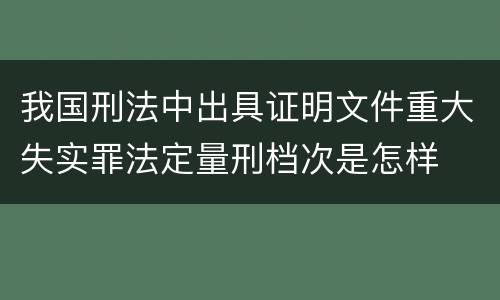 我国刑法中出具证明文件重大失实罪法定量刑档次是怎样
