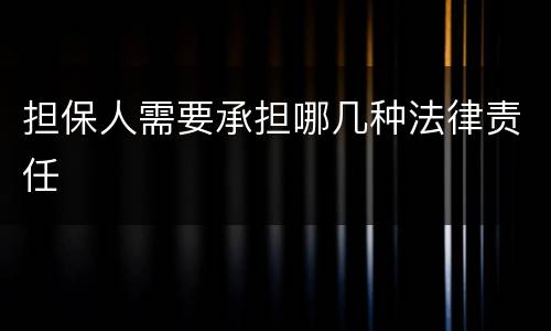 担保人需要承担哪几种法律责任