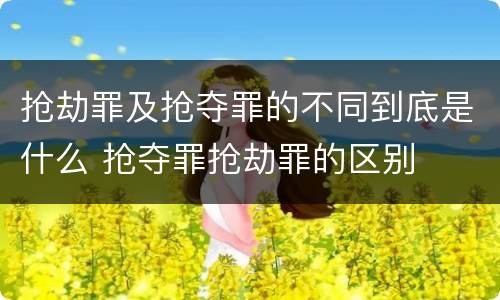 抢劫罪及抢夺罪的不同到底是什么 抢夺罪抢劫罪的区别