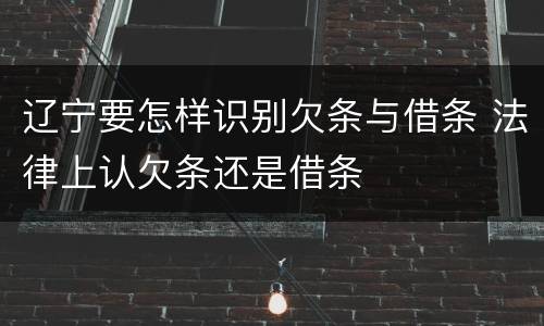 辽宁要怎样识别欠条与借条 法律上认欠条还是借条