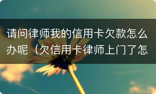 请问律师我的信用卡欠款怎么办呢（欠信用卡律师上门了怎么办）