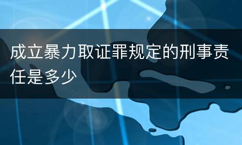 成立暴力取证罪规定的刑事责任是多少
