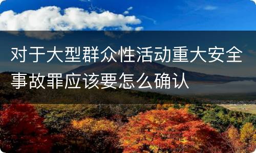 对于大型群众性活动重大安全事故罪应该要怎么确认