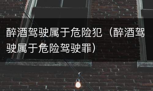醉酒驾驶属于危险犯（醉酒驾驶属于危险驾驶罪）