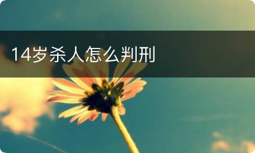14岁杀人怎么判刑