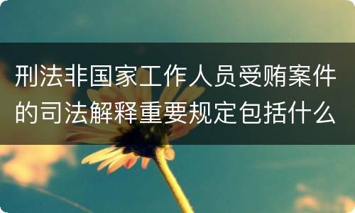 刑法非国家工作人员受贿案件的司法解释重要规定包括什么