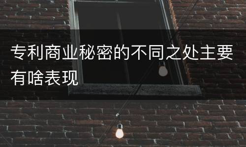 专利商业秘密的不同之处主要有啥表现