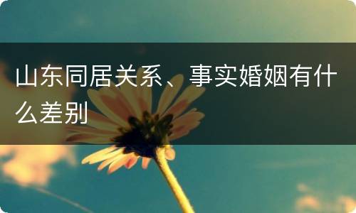 山东同居关系、事实婚姻有什么差别