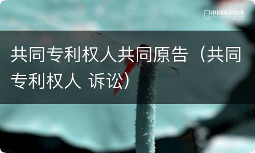 共同专利权人共同原告（共同专利权人 诉讼）