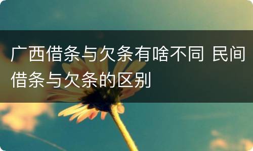 广西借条与欠条有啥不同 民间借条与欠条的区别