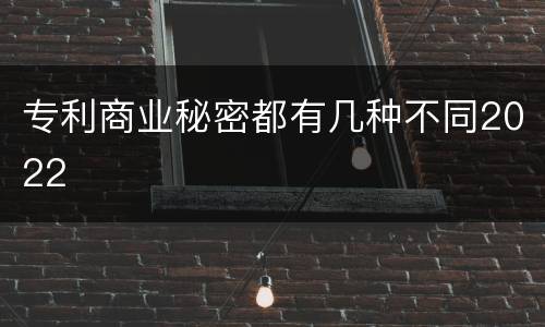 专利商业秘密都有几种不同2022