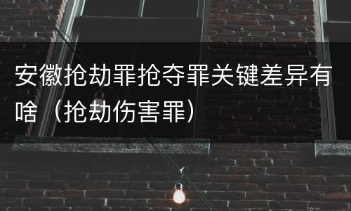 安徽抢劫罪抢夺罪关键差异有啥（抢劫伤害罪）