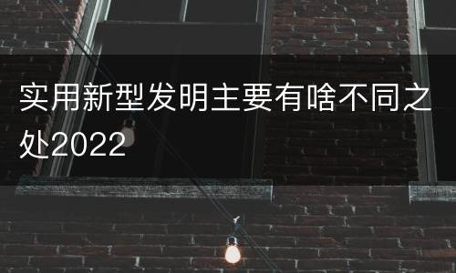 实用新型发明主要有啥不同之处2022