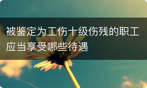 被鉴定为工伤十级伤残的职工应当享受哪些待遇