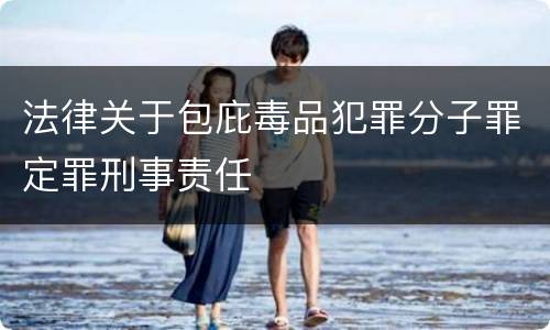 法律关于包庇毒品犯罪分子罪定罪刑事责任