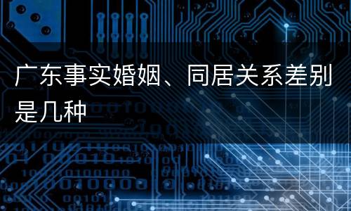 广东事实婚姻、同居关系差别是几种