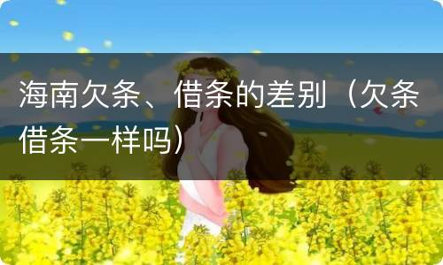 海南欠条、借条的差别（欠条借条一样吗）