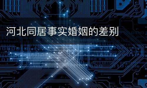 河北同居事实婚姻的差别