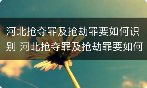 河北抢夺罪及抢劫罪要如何识别 河北抢夺罪及抢劫罪要如何识别案件