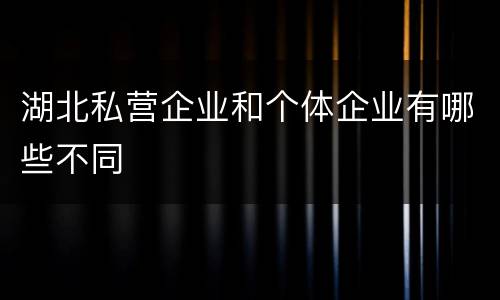 湖北私营企业和个体企业有哪些不同