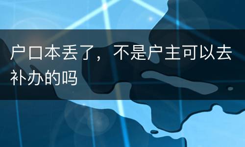 户口本丢了，不是户主可以去补办的吗