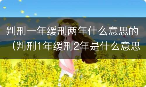 判刑一年缓刑两年什么意思的（判刑1年缓刑2年是什么意思）