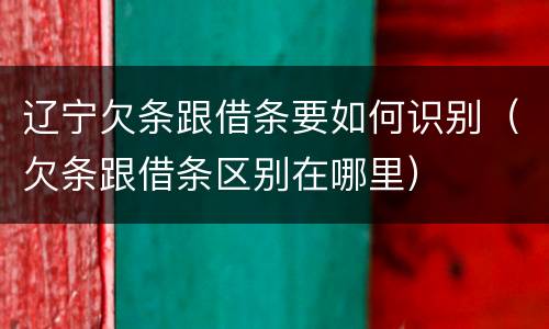 辽宁欠条跟借条要如何识别（欠条跟借条区别在哪里）