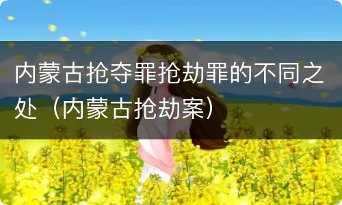 内蒙古抢夺罪抢劫罪的不同之处（内蒙古抢劫案）