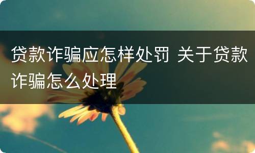 贷款诈骗应怎样处罚 关于贷款诈骗怎么处理