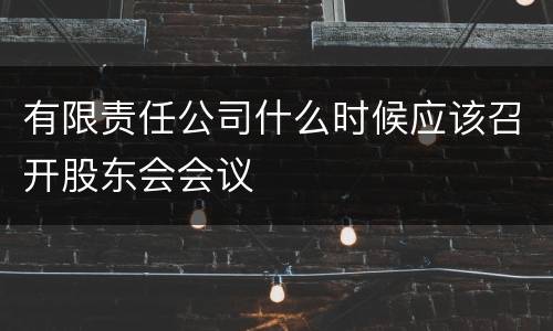 有限责任公司什么时候应该召开股东会会议