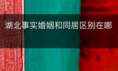 湖北事实婚姻和同居区别在哪