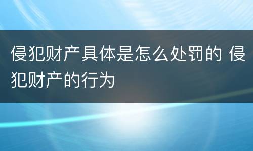 侵犯财产具体是怎么处罚的 侵犯财产的行为