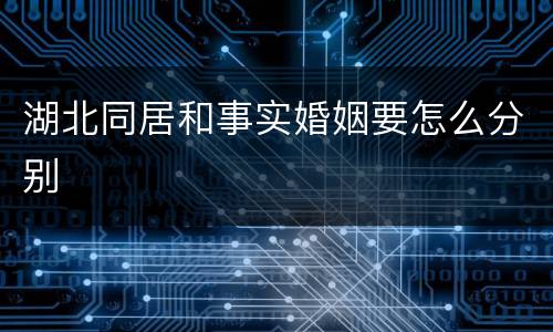 湖北同居和事实婚姻要怎么分别