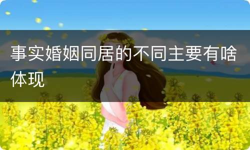 事实婚姻同居的不同主要有啥体现