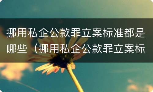 挪用私企公款罪立案标准都是哪些（挪用私企公款罪立案标准都是哪些规定）