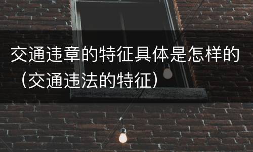 交通违章的特征具体是怎样的（交通违法的特征）