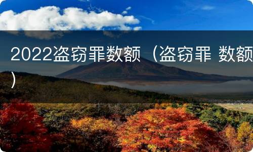 2022盗窃罪数额（盗窃罪 数额）