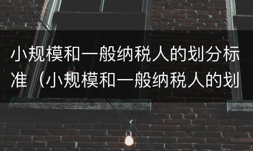 小规模和一般纳税人的划分标准（小规模和一般纳税人的划分标准一样吗）