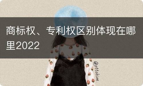 商标权、专利权区别体现在哪里2022