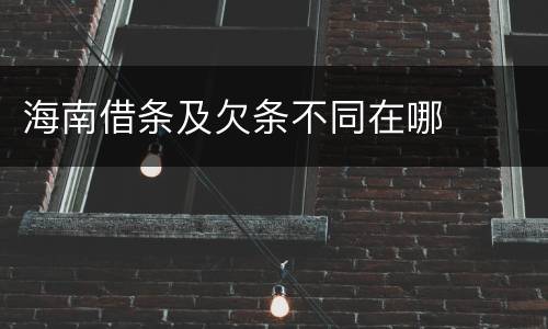 海南借条及欠条不同在哪