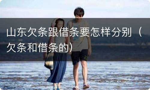 山东欠条跟借条要怎样分别（欠条和借条的）