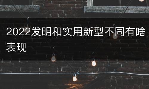 2022发明和实用新型不同有啥表现