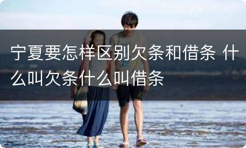 宁夏要怎样区别欠条和借条 什么叫欠条什么叫借条