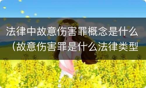 法律中故意伤害罪概念是什么（故意伤害罪是什么法律类型）