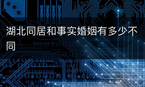 湖北同居和事实婚姻有多少不同