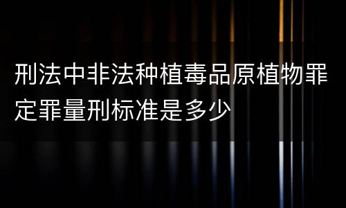 刑法中非法种植毒品原植物罪定罪量刑标准是多少