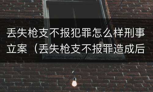 丢失枪支不报犯罪怎么样刑事立案（丢失枪支不报罪造成后果）