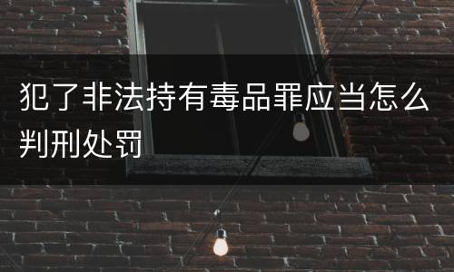 犯了非法持有毒品罪应当怎么判刑处罚